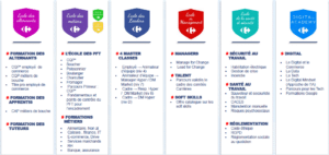 Visuel expliquant les différentes écoles Carrefour et les différentes formations associées à ses écoles dont les collaborateurs peuvent avoir accès